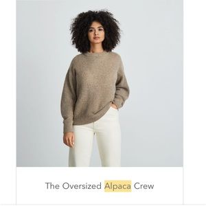Everlane Oversized Alpaca Crew